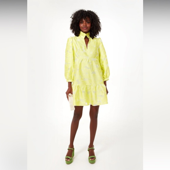 Tuckernuck Dresses & Skirts - Tuckernuck Citron Fil Coupe Palmerston Dress Sz Small